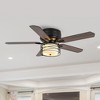 Parrot Uncle 42" Black Indoor Retractable Caged Ceiling Fan, Industrial - 4 of 4