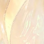 white - 1 large ribbon bow