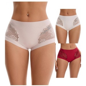 INSPIRE CHIC 3 Packs Women's High Waisted Lace Breathable Full Coverage Tummy Control Briefs Panties - 1 of 4