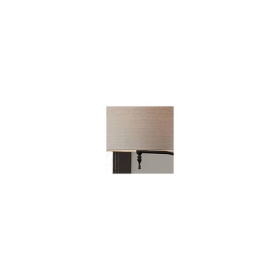 Contemporary Anemoon Adjustable Black Metal Floor Lamp with Drum Shade