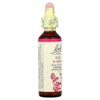 Bach Original Flower Remedies, Elm, 0.7 fl oz (20 ml) - 4 of 4