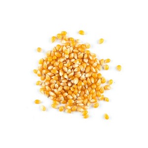 Pleasant Grove Farms Organic Yellow Popcorn - 25 lb - 1 of 3