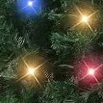 1068 branch tips, 350 lights