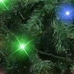 880 branch tips, 470 lights