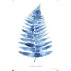 Trends International Jean Plout - Indigo Botanical Asoidium Angulare Unframed Wall Poster Prints - 4 of 4