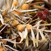 22.5"H Sullivans Artificial Fall Mixed Grass Bush Set of 3, Multicolor - 2 of 3