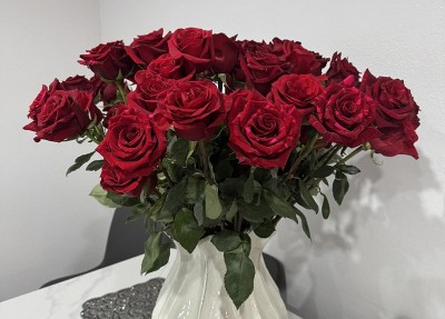 Guest review image 1 of 2, zoom in