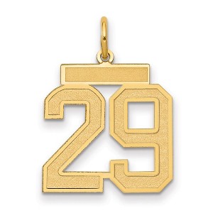 Black Bow Jewelry 14k Yellow Gold, Jersey Collection, Medium Number 29 Pendant - 1 of 3