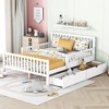 Wood Platform Bed with Guardrails on Both Sides and Two Storage Drawers - 2 of 4