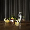 Viski Penguin Cocktail Shaker with Strainer, Stainless Steel Shaker Bottle, Bar Essentials, Home Bartender Shaker and Strainer Set, 17 oz. - 4 of 4
