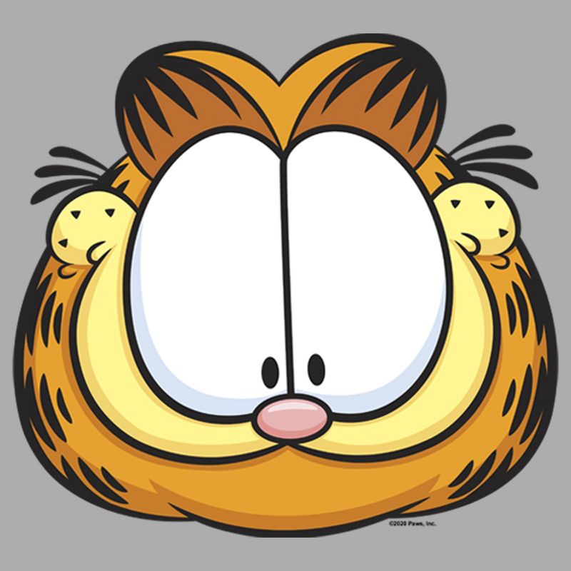 Boy's Garfield Character Big Face T-Shirt, 2 of 6