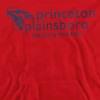Boys’ House Princeton Plainsboro Hooded Sweatshirt - 2 of 4
