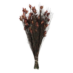 Vickerman 36"-40" Bell Grass with Seed Pods, Preserved - 1 of 4