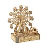 Probe Hues Mechanical Ferris Wheel Cognitive Puzzle - 2 of 3