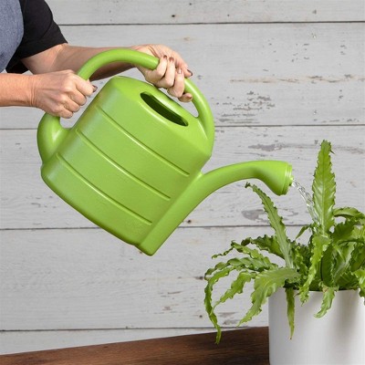 Green 2-Gallon Plastic Watering Can with Removable Nozzle