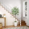 Artificial Olive Tree 5FT, Faux Olive Tree with Pot and Moss, Tall Artificial Plants Indoor - 4 of 4