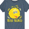 Boys' - Sesame Street - Big Bird Face Short Sleeve Graphic T-Shirt - 2 of 4