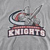 Queens College Official Distressed Primary Logo Adult Pull-Over Hoodie - 2 of 4