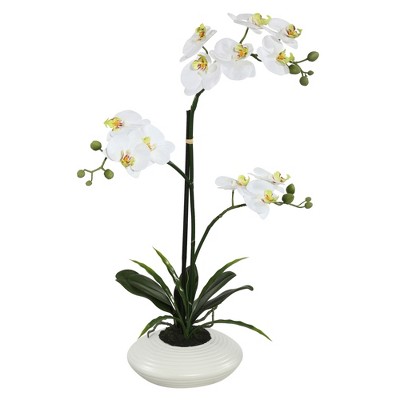 Vickerman Artificial 25" Orchid Arrangement