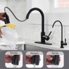 WOWOW Single Handle Pull Down Sprayer Kitchen Faucet with Water Filter Faucet - 3 of 4