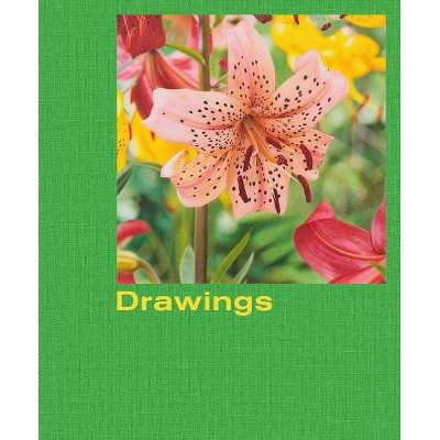 Mathew Cerletty: Drawings - (Hardcover)