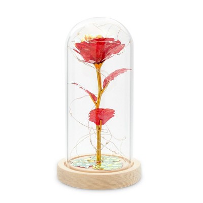 Zodaca Enchanted Galaxy Red Rose in Glass Dome with LED Lights (4.5 x 8.5 in)