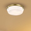 Nuvo Lighting Rowen 4 - Light Flush Mount in  Natural Brass - 2 of 4