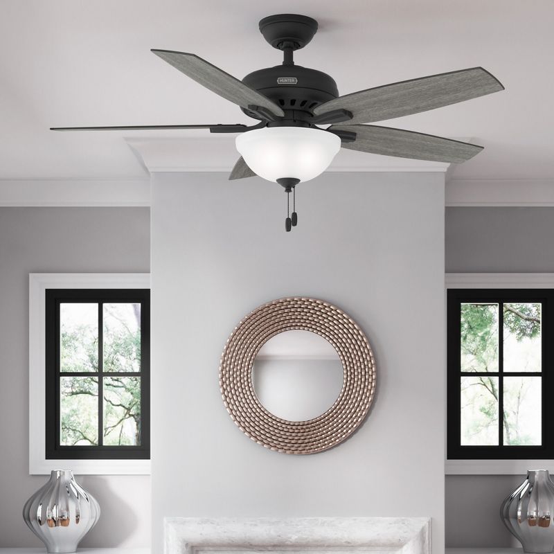52" Newsome Glossy Ceiling Fan (Includes LED Light Bulb) - Hunter Fan, 5 of 19