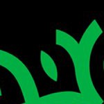 austin fc