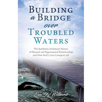 Building a Bridge over Troubled Waters - by  Eva J Williams (Paperback)