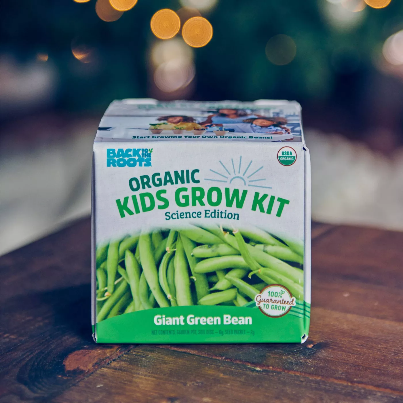 Back to the Roots Kids' Science Grow Kit - Bean - image 3 of 6