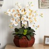 HomeStock Large Phalaenopsis Silk Flower Arrangement - 2 of 3
