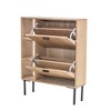 Nordlys 2-Drawer Shoe Cabinet in Solid Wood and Metal Exotic Boho Entry - 3 of 4