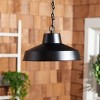 Quarry 13" Outdoor Pendant - PLT7023 - Black - Safavieh - 3 of 3