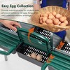 ORRD 3-Hole Chicken Nesting Box with Lid & Legs – Green, for Coop & Farm - 2 of 4