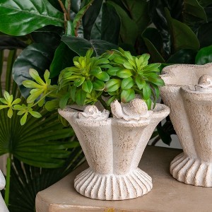 Okak 9x5.5x5.7 Inches Sand and Cement Conch Shell Planter Textured Finish for Indoor and Outdoor Use, Decorative Plant Pot - 1 of 4