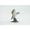 Collectible Wildlife Gifts | Bird, Falcon, Genus Falco, Peregrine, Museum Quality, Hand Painted, Rubber, Realistic,  Toy, Gift,  3 1/2" CH641 BB168 - 4 of 4