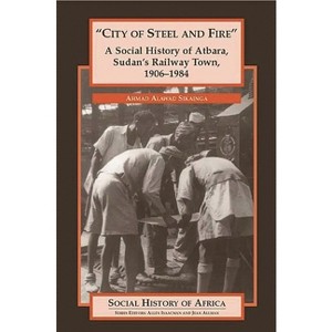 City of Steel and Fire - (Social History of Africa) by  Ahmad Alawad Sikainga (Hardcover) - 1 of 1