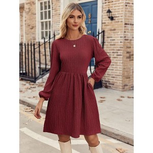 Coolmee Women Casual Crew Neck Jacquard Knit Bubble Long Sleeve A-Line Sweater Mini Dress With Pockets - 1 of 4