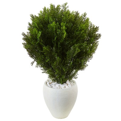 3' Cedar Artificial Plant In Oval Textured Planter - Nearly Natural