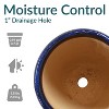 Sunnydaze Resort High-Fired Outdoor/Indoor Glazed UV- and Frost-Resistant Ceramic Planters with Drainage Holes - 2-Pack - 4 of 4