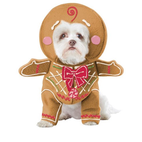 Dog deals christmas costume