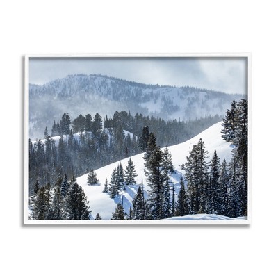 Stupell Industries Quiet Snowy Mountain Slopes Scattered Fir Trees Black Framed Giclee Art