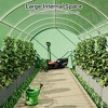 Greenhouse for Outdoors, Large Walk-in Tunnel Greenhouse with Upgraded Swing Door - 3 of 4