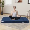 Sofa, Folding Sofa Bed, Foldable Couch  Bed with Pillow, Convertible Sleeper Chair Folding Sofa Mattress, Futon Floor Couch for Living Room/Bedroom - 2 of 4