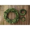 Luupathcy Preserved Genuine Boxwood Wreath,for Home Wall Porch Decoration - 3 of 4