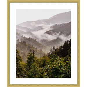 Amanti Art Great Smoky Mountains by Del Mundo Imagery Wood Framed Wall Art Print - 1 of 4