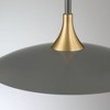 Eurofase Lighting Welsh 1 - Light Pendant in  Gray/Black - 2 of 4