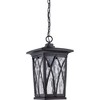 Quoizel Lighting Grover 1 - Light Pendant in  Clear - 3 of 4