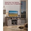 VASAGLE TV Stand for TVs up to 65 Inches, Farmhouse Entertainment Center with Sliding Barn Doors, TV Console Table - 4 of 4